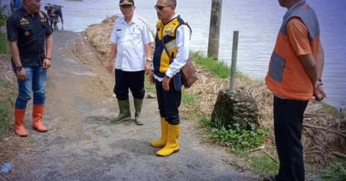 Ratusan Hektare Sawah Terendam, Dinas PU Sukabumi Tinjau Luapan Sungai Ciparanje atas Instruksi Bupati