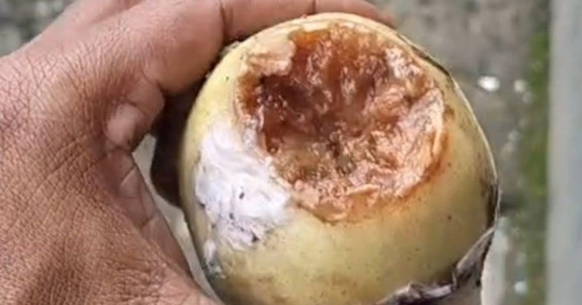 Hebooh! Wali Murid di Kecamatan Nanggung Protes, Diduga Kualitas Menu MBG Sajikan Telur Tidak Layak Dikonsumsi