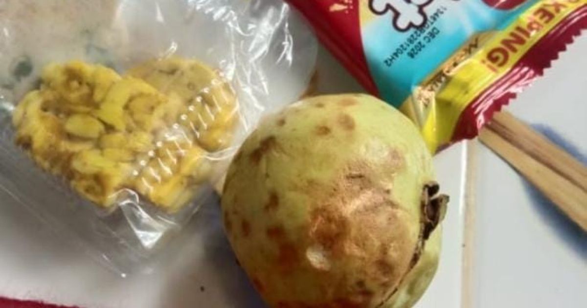 Jasinga!, Program Makan Bergizi Gratis Terus Diperkuat, Tantangan Kualitas Jadi Sorotan