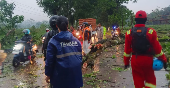 Waspada Cuaca Ekstrem, Polsek Jalancagak Perketat Pengawasan Titik Rawan Pohon Tumbang