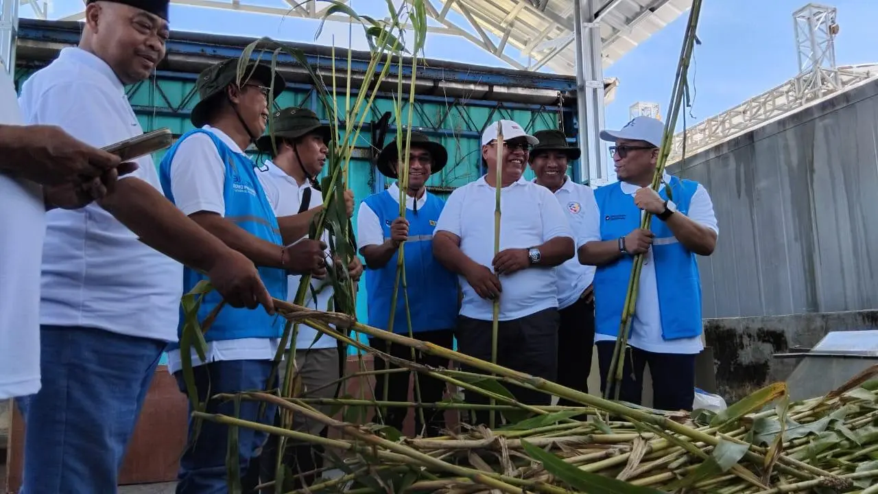 PLTU Pelabuhan Ratu Luncurkan Program Sorgum Nasional: Targetkan Kurangi 700 Ribu Ton Emisi CO₂ per Tahun