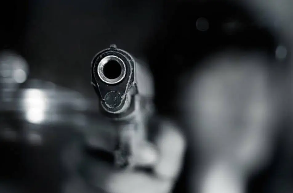 Polres Sukabumi Ringkus Pemburu Liar Bersenjata Rakitan, Warga Jadi Korban Serudukan Babi Hutan